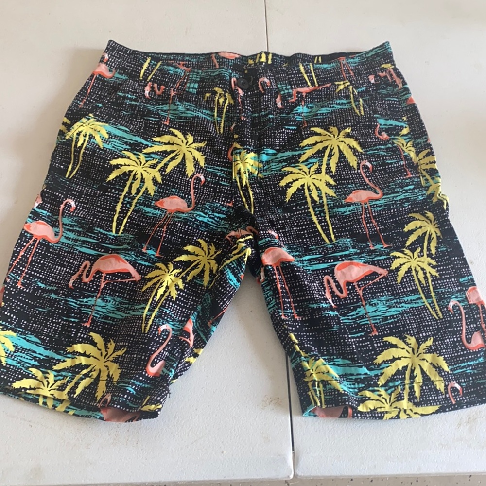 Fun and Festive Mens Shorts! Size 31